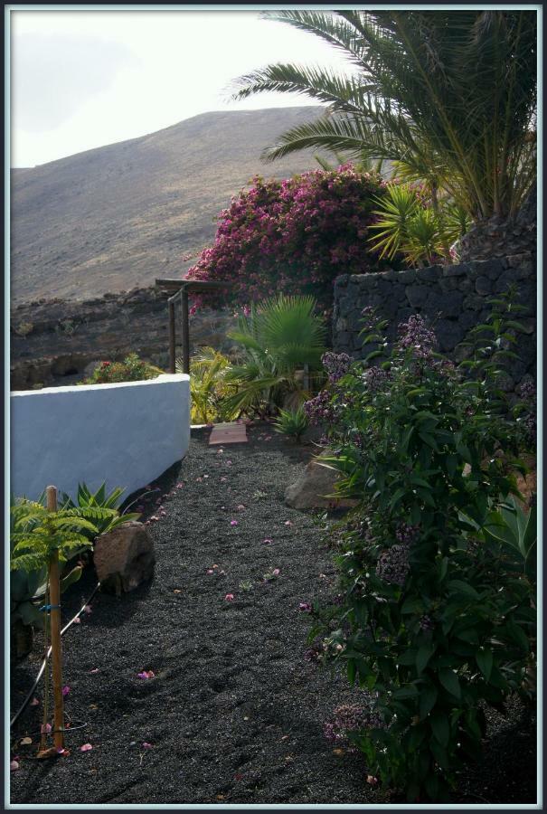 Castillo Lanzarote Villa Winni - Luxury Villa - Pet Friendly With Heated Pool La Asomada  外观 照片