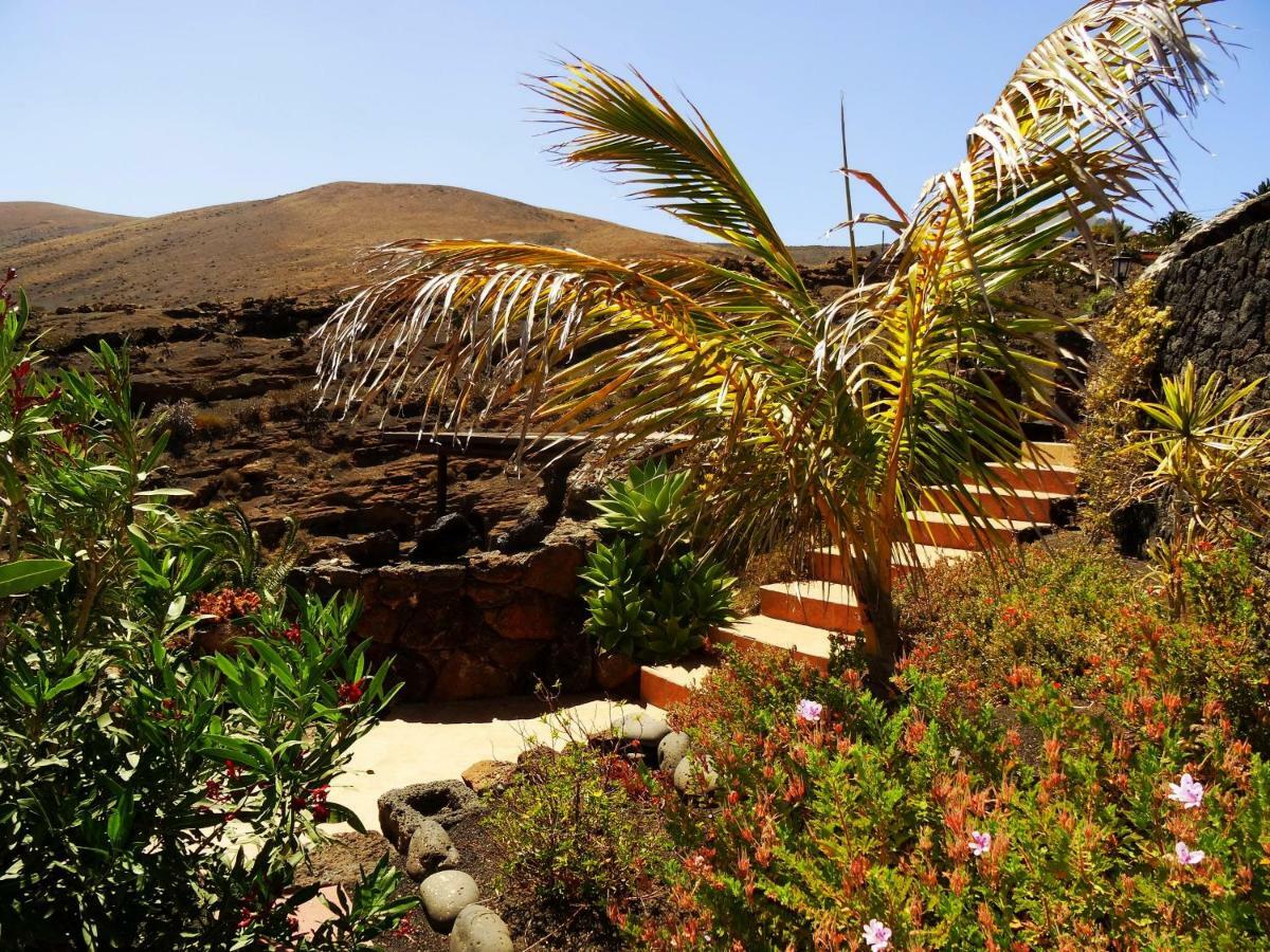 Castillo Lanzarote Villa Winni - Luxury Villa - Pet Friendly With Heated Pool La Asomada  外观 照片